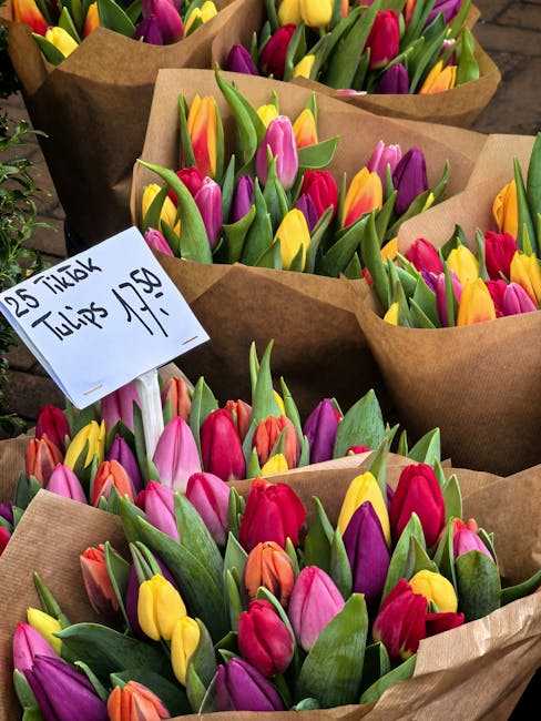 Multiple bouquets of fresh tulips with vibrant pink, purple, yellow, and orange petals, wrapped in brown paper and arranged in a display. The tulips have green stems and leaves, appear healthy and new